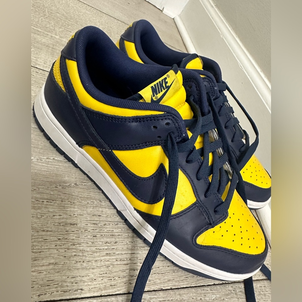 Michigan Nike Dunks